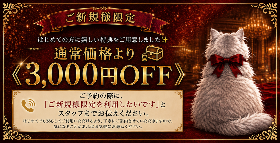 銀座高級メンズエステLUNA(ルナ)のバナー